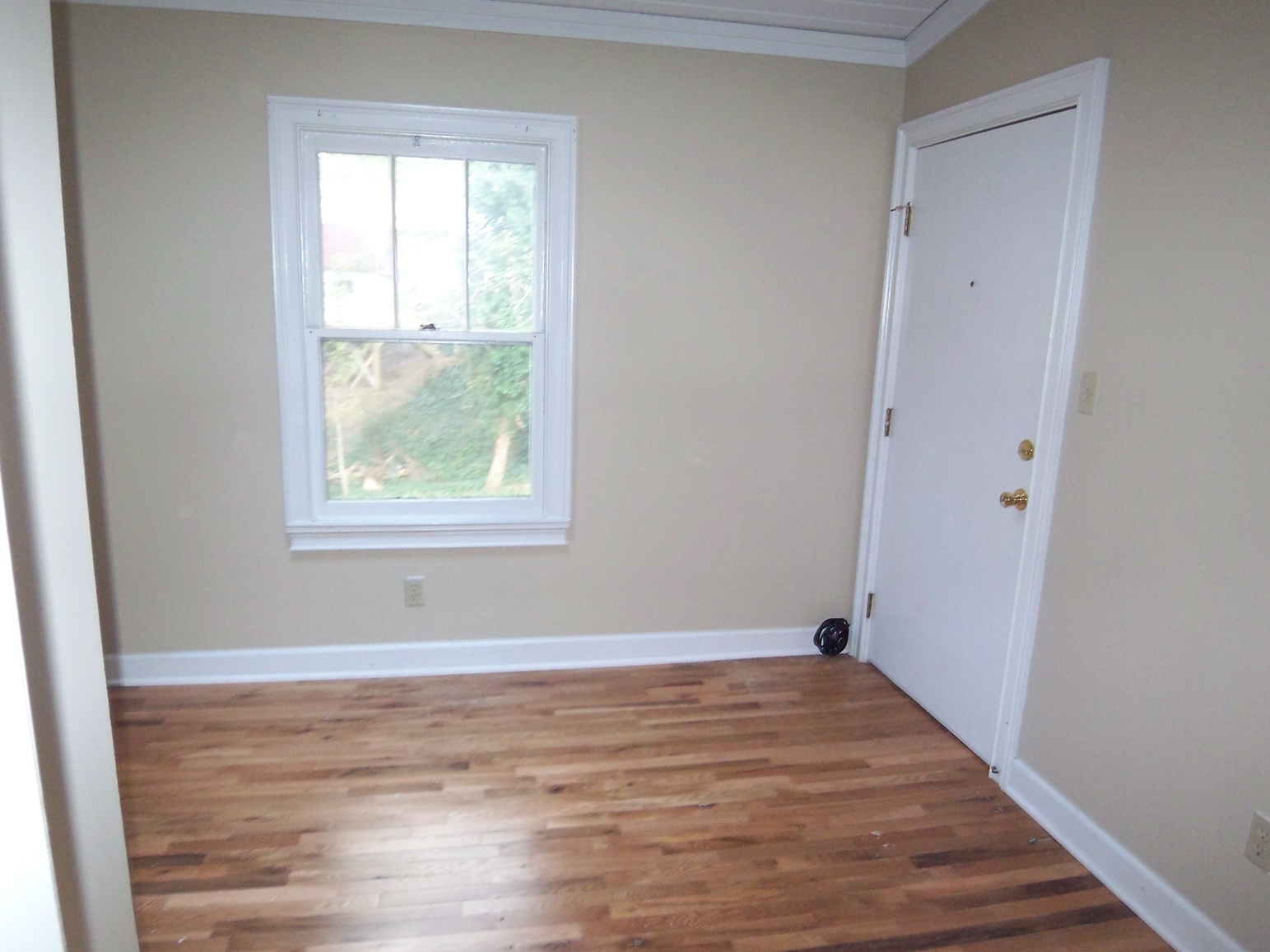 A close up of a hard wood floor next to a window

Description automatically generated